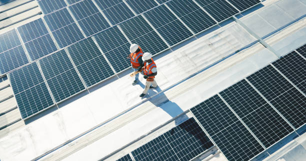 Best Roof Maintenance and Cleaning  in Waipio, HI