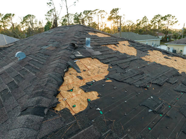 Sheet Metal Roofing in Waipio, HI